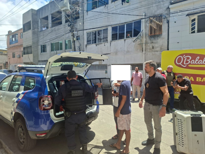 Homem é detido por maus-tratos animais em ação conjunta de forças de segurança